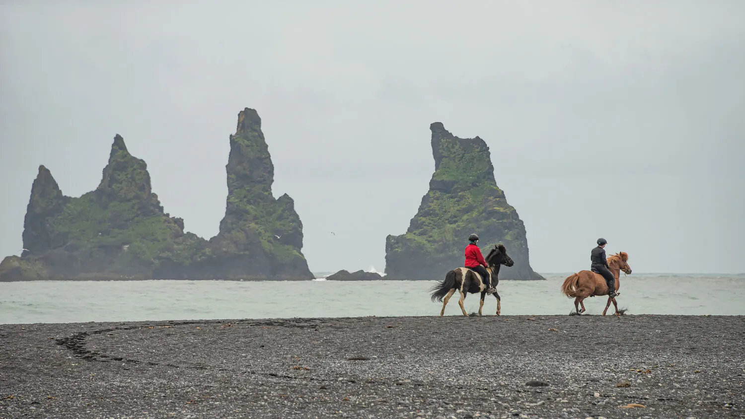 Two riders on Icelandic horses cantering along a black sand beach with sea stacks in the background