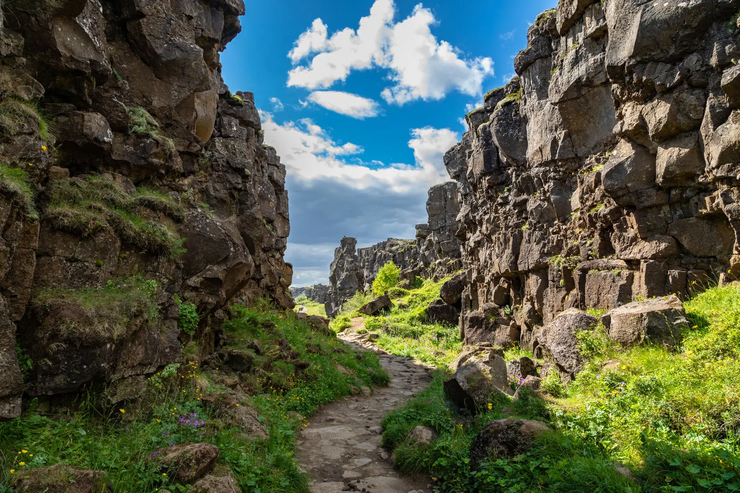 A path winding through the fissure walls of Almannagjá at Þingvellir