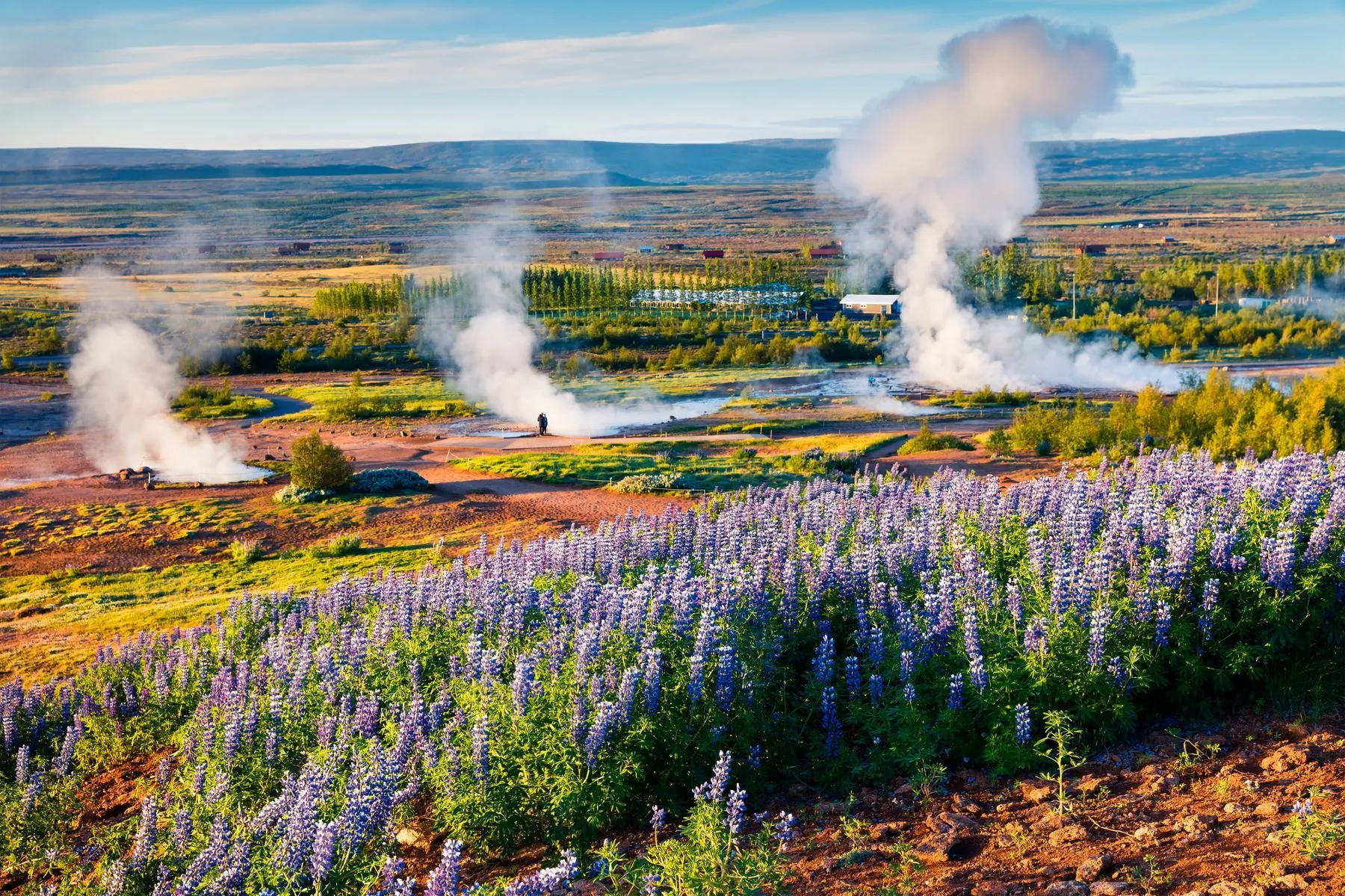 Geysir geothermal area